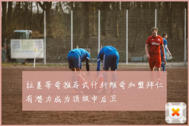 拉基蒂奇推荐武什科维奇加盟拜仁有潜力成为顶级中后卫