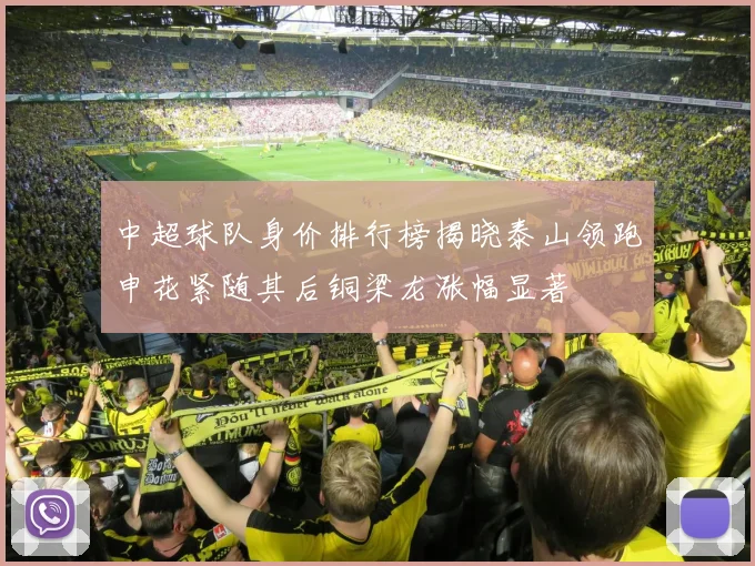 中超球队身价排行榜揭晓泰山领跑申花紧随其后铜梁龙涨幅显著